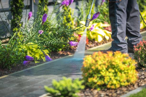 Bigfork, MT Pressure Washing Services Company